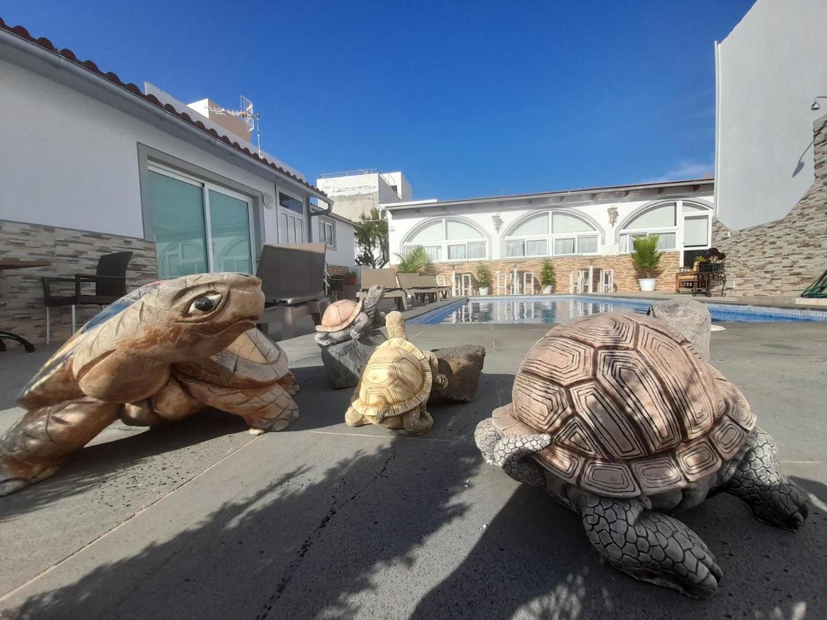 Tenerife Little Village S سان إيسيذرو المظهر الخارجي الصورة